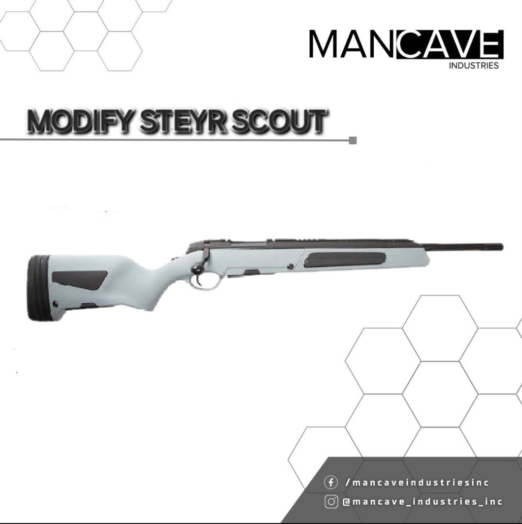 Modify Steyr Scout