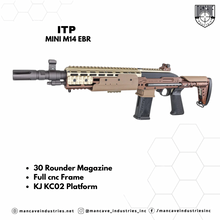 Load image into Gallery viewer, ITP Mini M14 EBR
