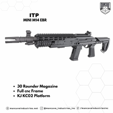 Load image into Gallery viewer, ITP Mini M14 EBR
